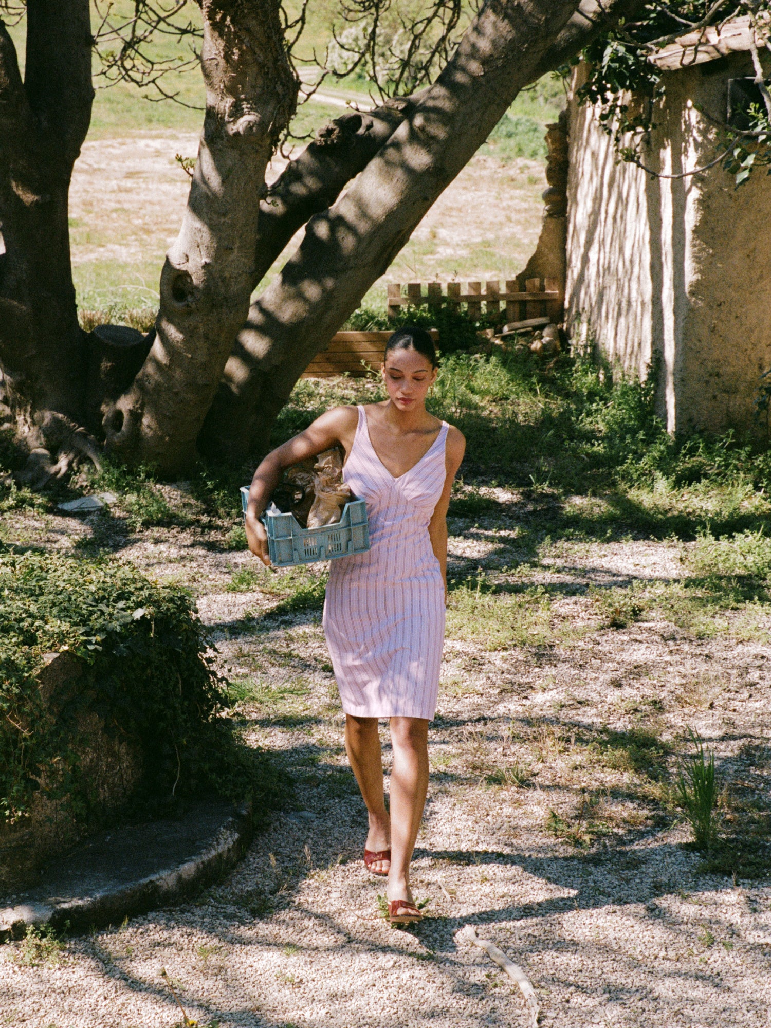 ELIANA Dress ELIANA Dress